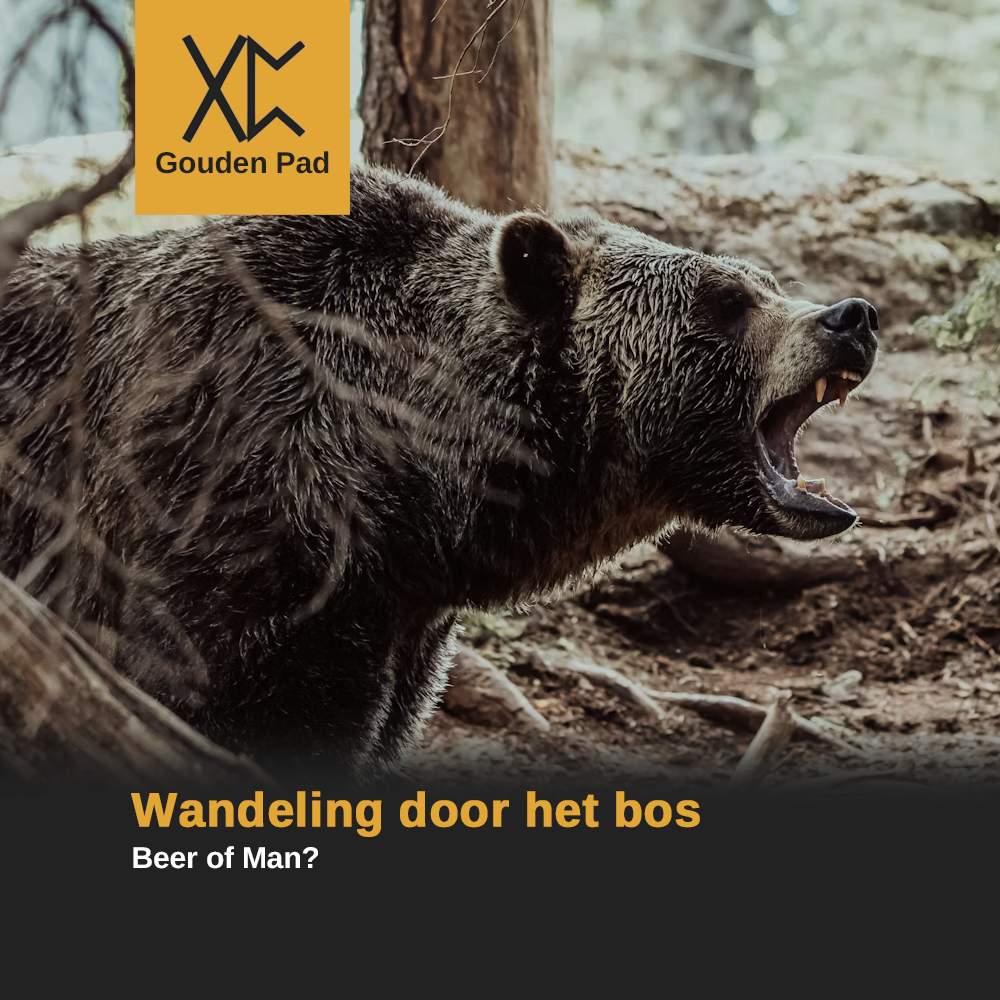 Wandeling door het bos: Beer of Man?