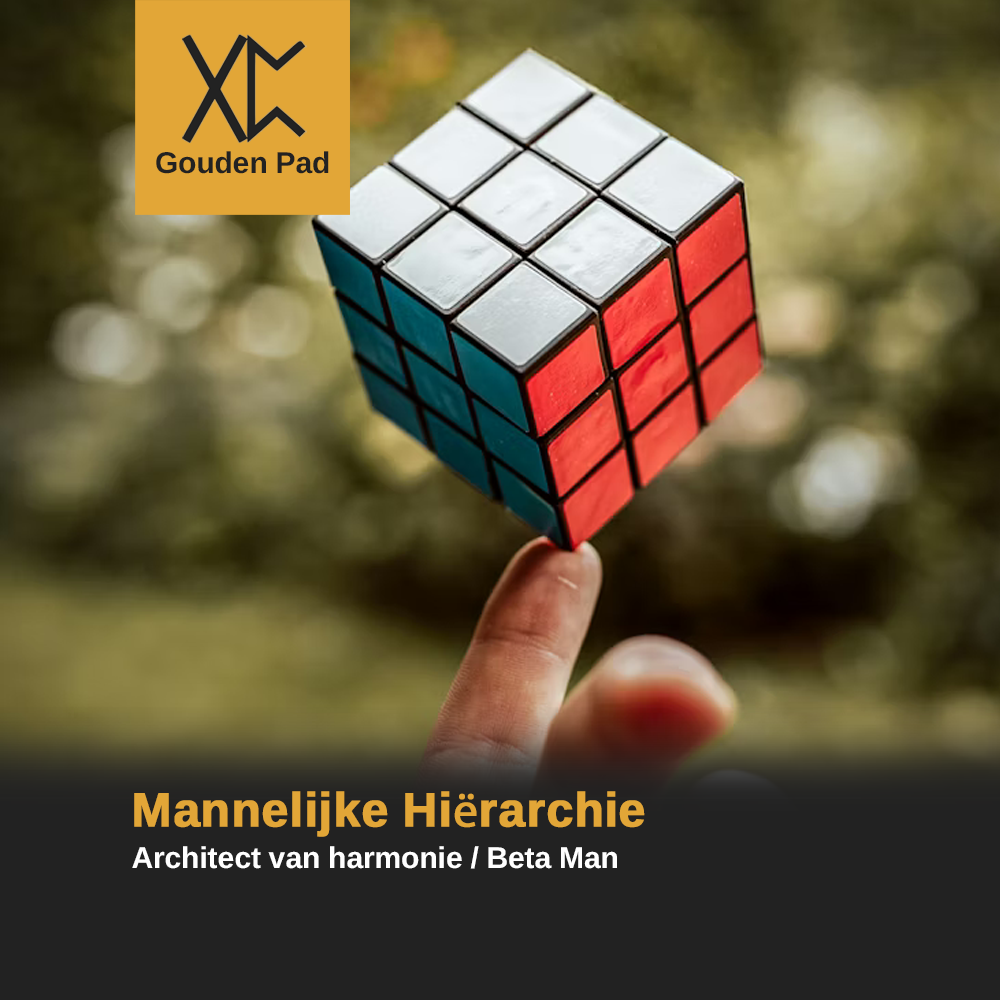 Mannelijke Hiërarchie: Architect van harmonie / Beta Man
