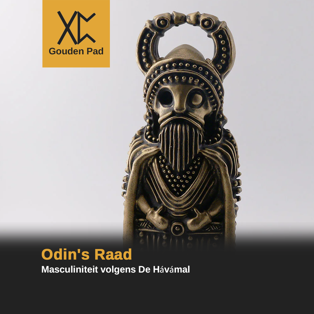 Odin’s Raad: Masculiniteit volgens De Hávámal