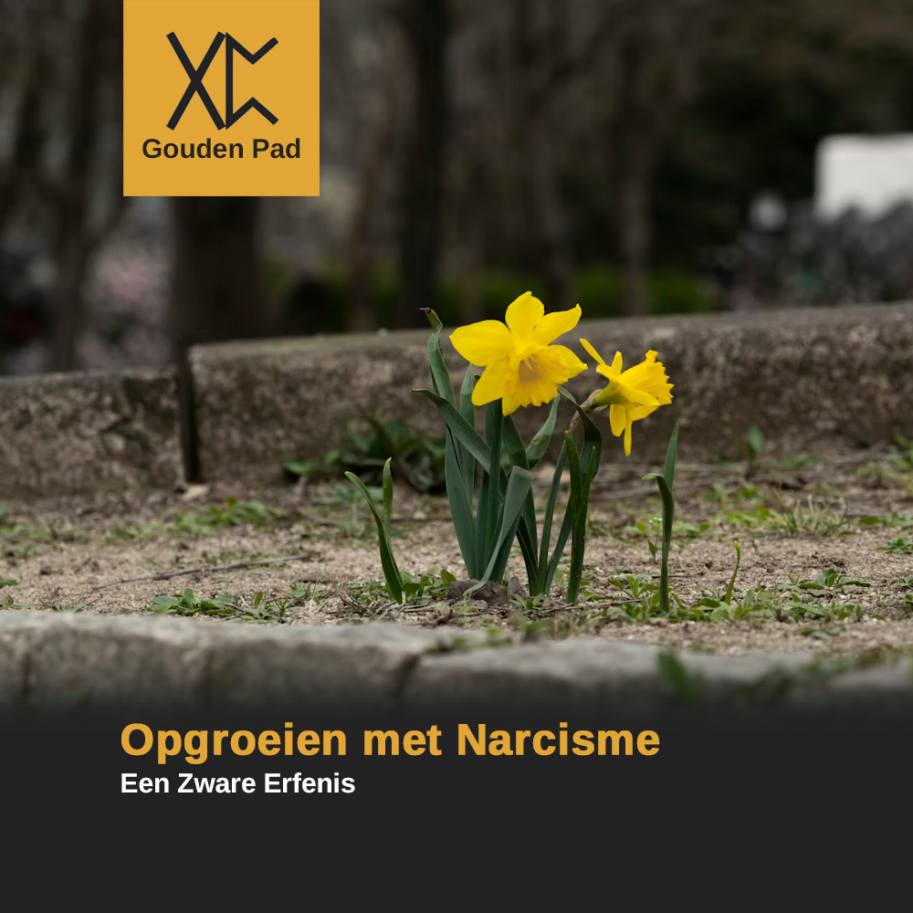 Opgroeien met Narcisme: Een Zware Erfenis
