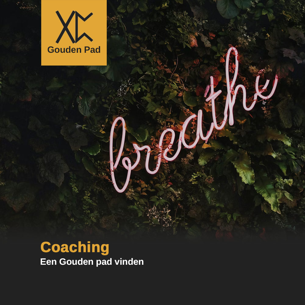 Coaching: Een Gouden pad vinden