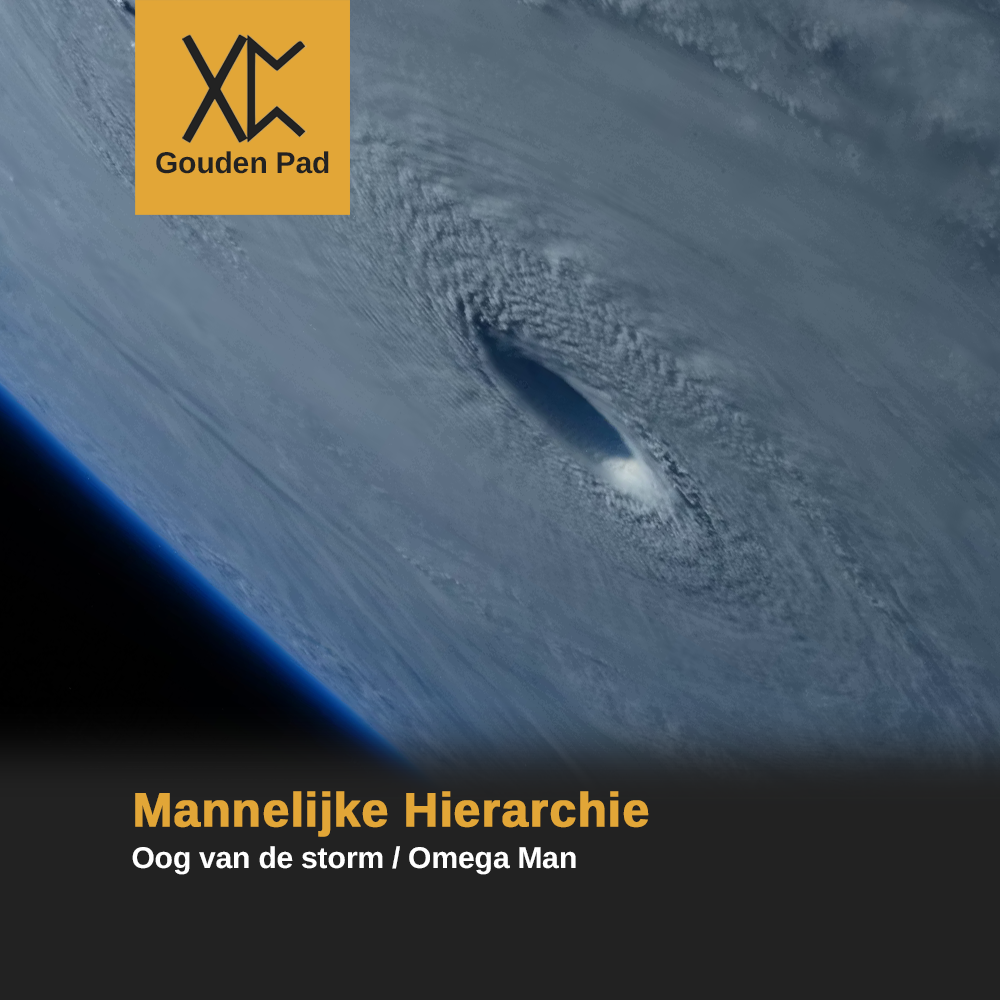 Mannelijke Hierarchie: Oog van de storm / Omega Man
